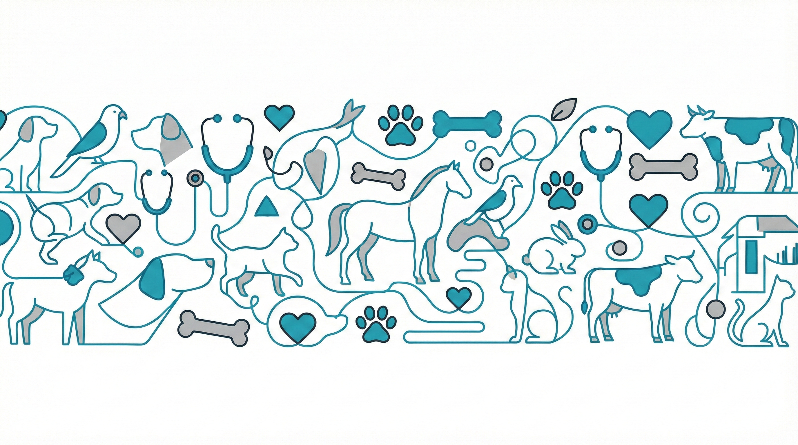 Oftalmolojik Muayene ve Göz Sağlığı Değerlendirmesi