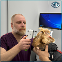 Oftalmolojik Muayene ve Göz Sağlığı Değerlendirmesi